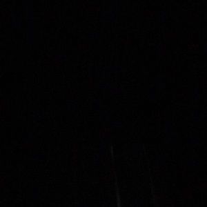 Meet your Posher, Maya